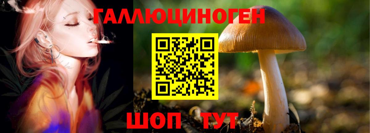 Псилоцибиновые грибы Psilocybine cubensis Дюртюли